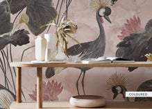 Bold Crowned Cranes Wallpaper