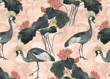 Bold Crowned Cranes Wallpaper