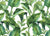 Leafy Green Retreat Wallpaper