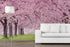 Cherry Blossom Mural