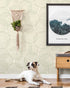 Wood Rings Sage Wallpaper