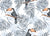 Toucan Bird Wallpaper