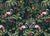 Flamingos In the Green Wallpaper